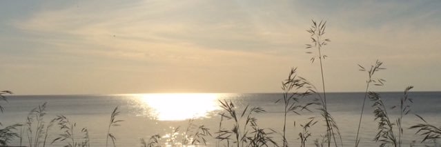 AngieEberhardt's profile banner image
