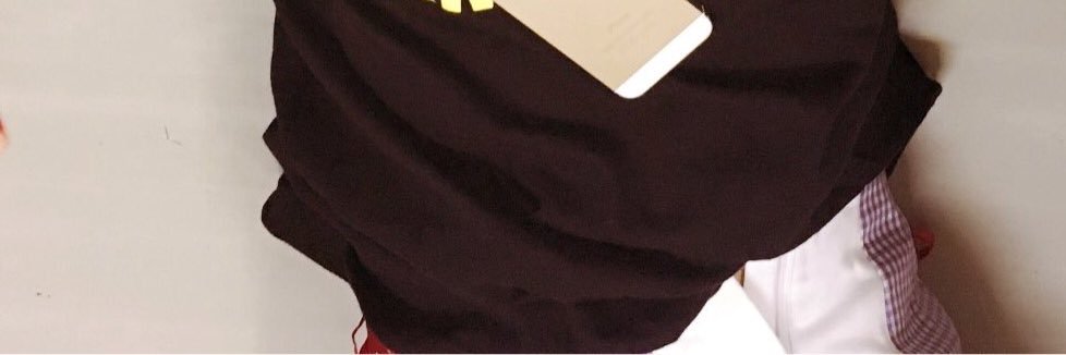 pikapixdex's profile banner image