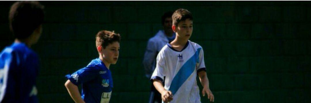 Nico Davidovich banner