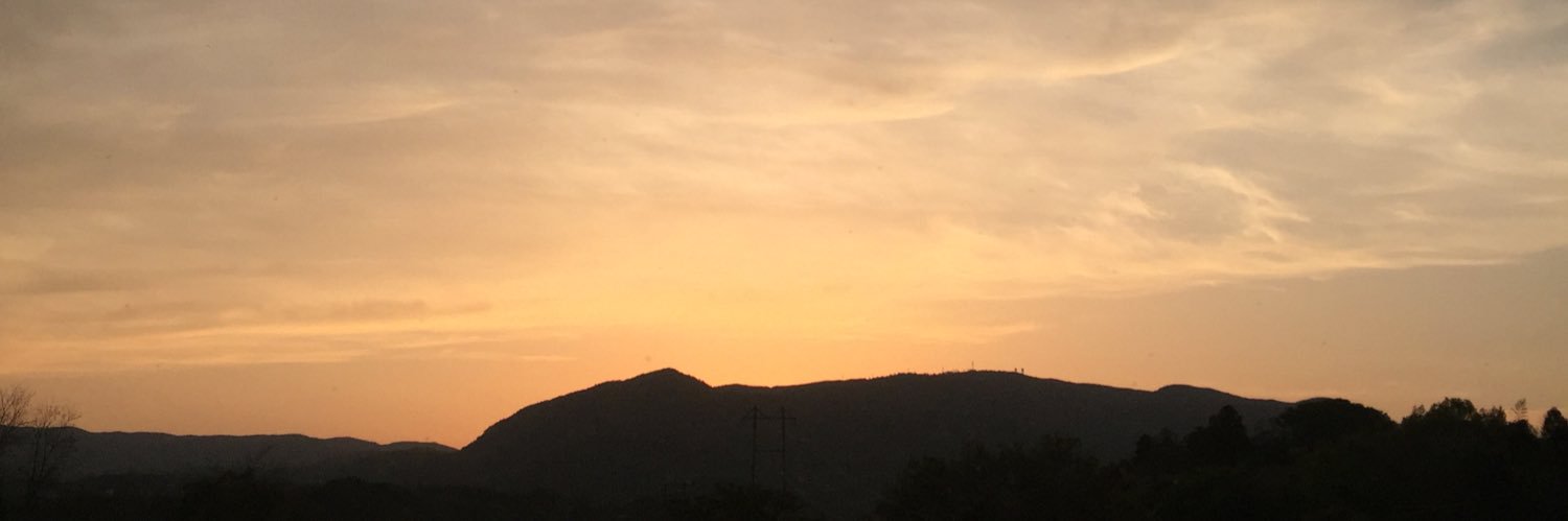 タカ banner