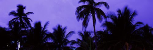 tcpscan's profile banner image