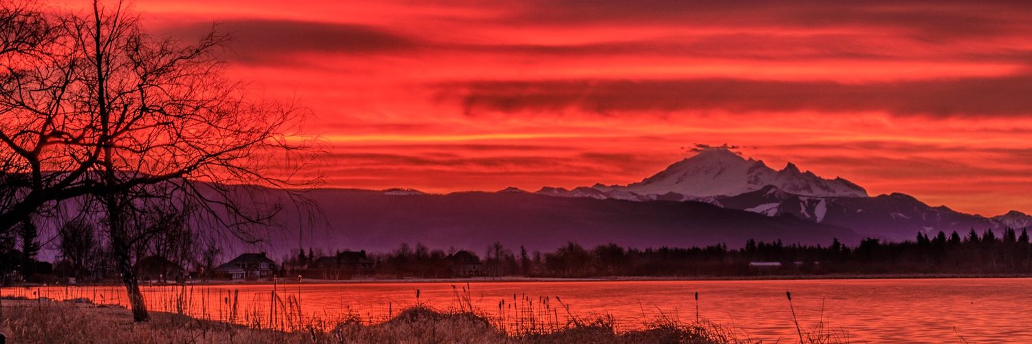 VinceAdams's profile banner image