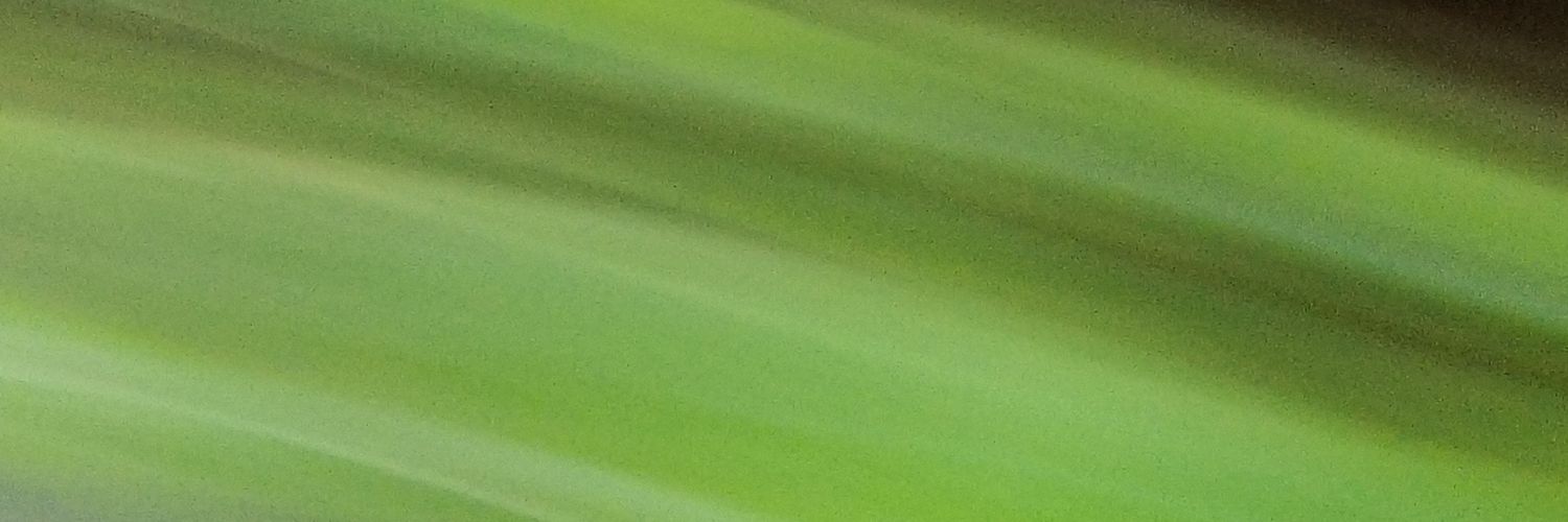 WestCoaster08's profile banner image