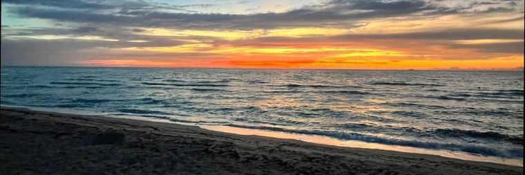 Justin Schell banner