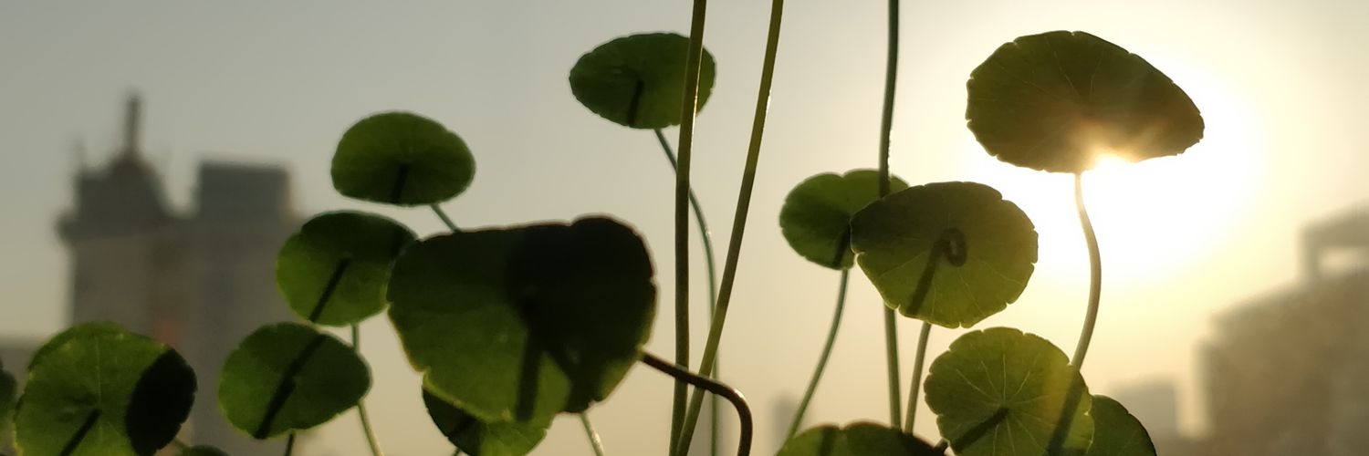ufotjcn's profile banner image