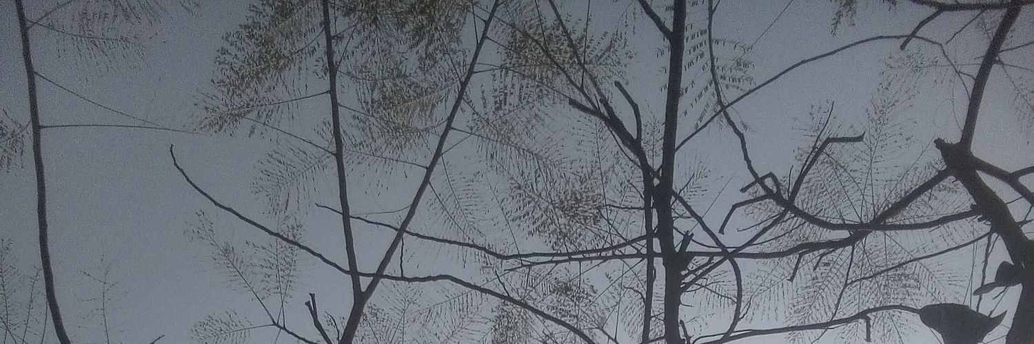 WaleedN_'s profile banner image