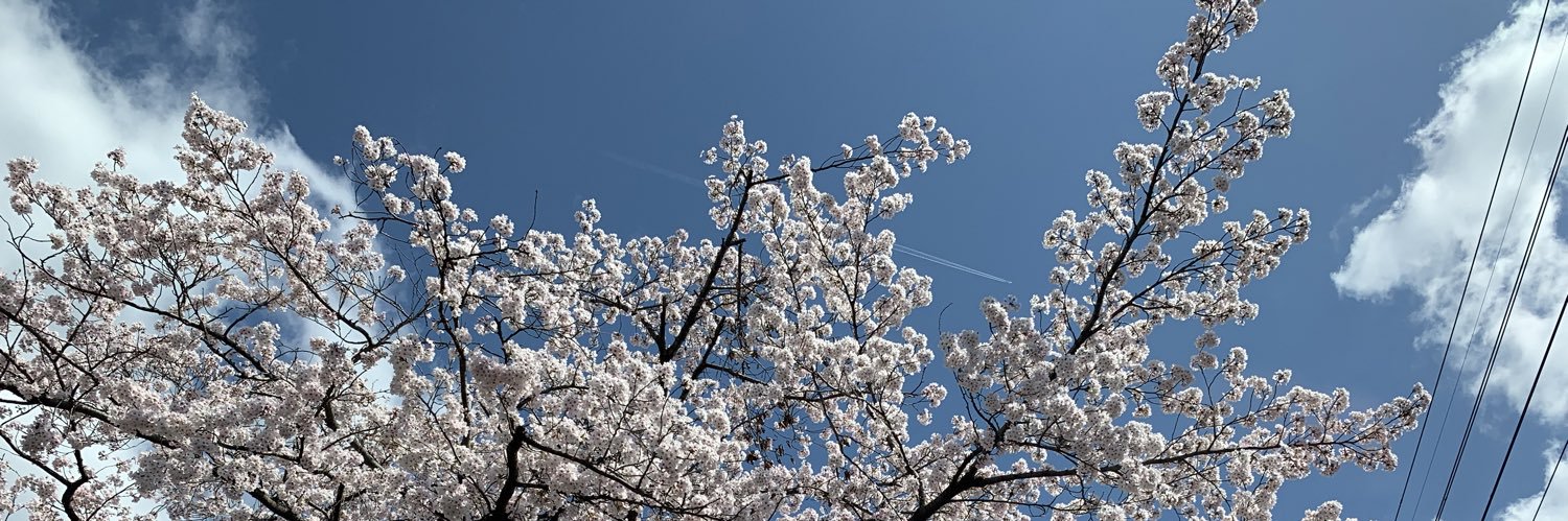 Sakuran417's profile banner image