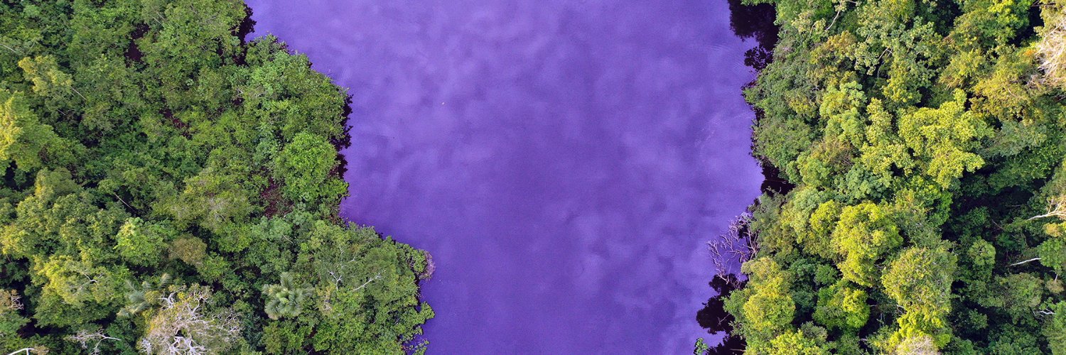 wildtechMB's profile banner image