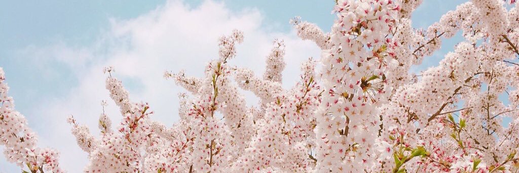 bts_11_k's profile banner image