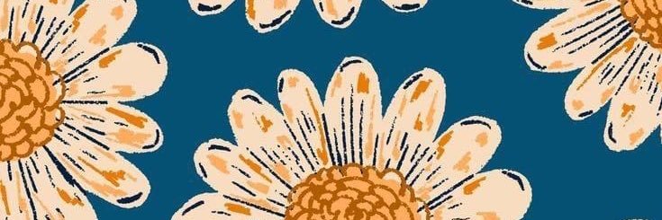 AimmeeVc's profile banner image