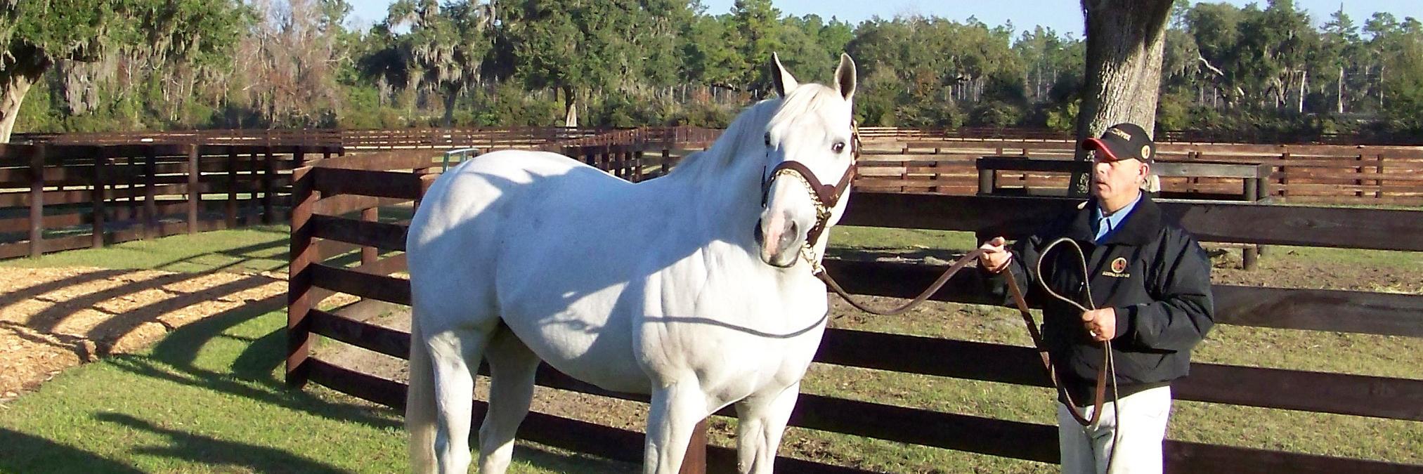 Avalyn Hunter banner