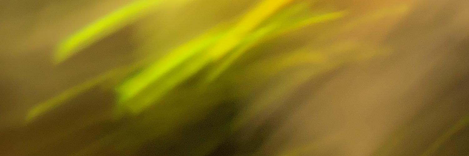 rakitkaram's profile banner image