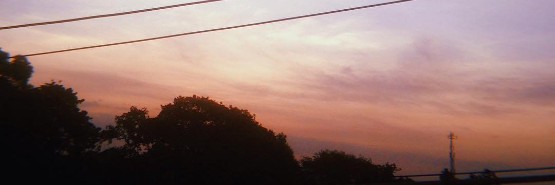 tanntaneee's profile banner image