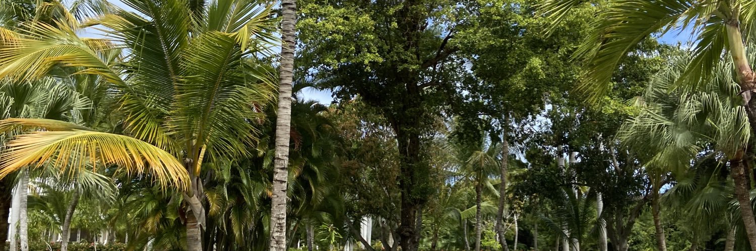 SerranoGustavoR's profile banner image