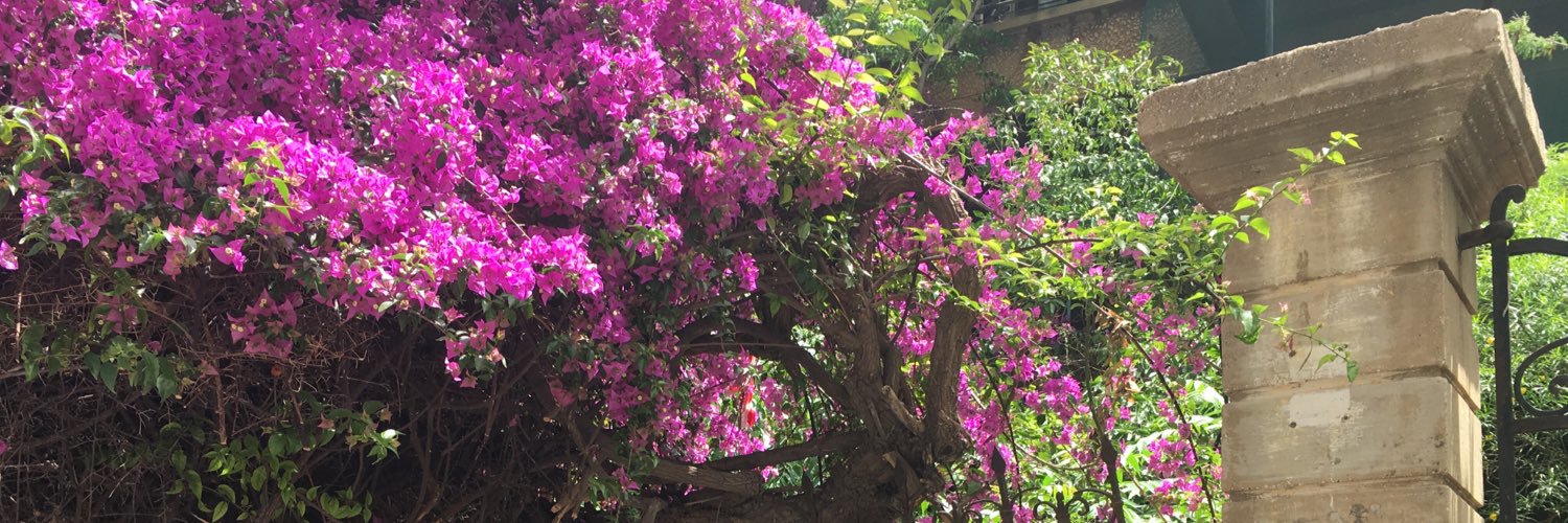 Daniel Neuwirth banner