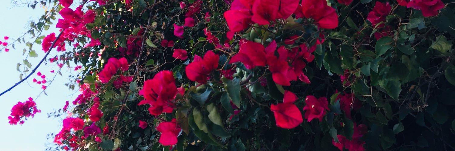 _bsq's profile banner image