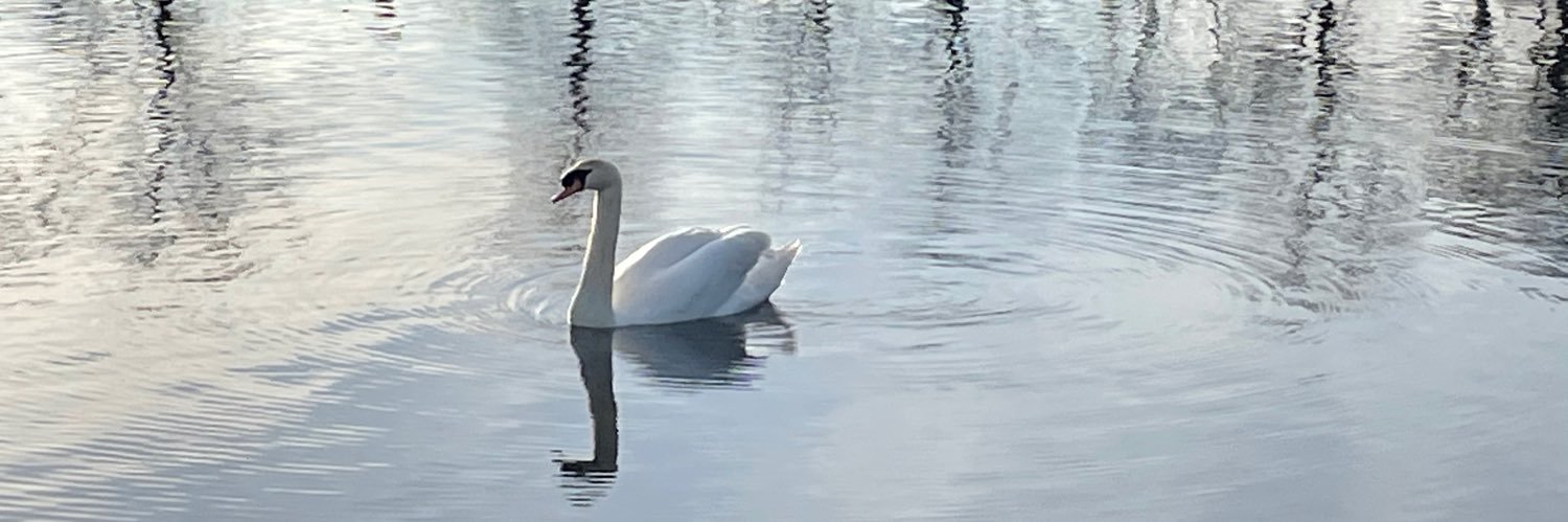 Laura Minnery banner