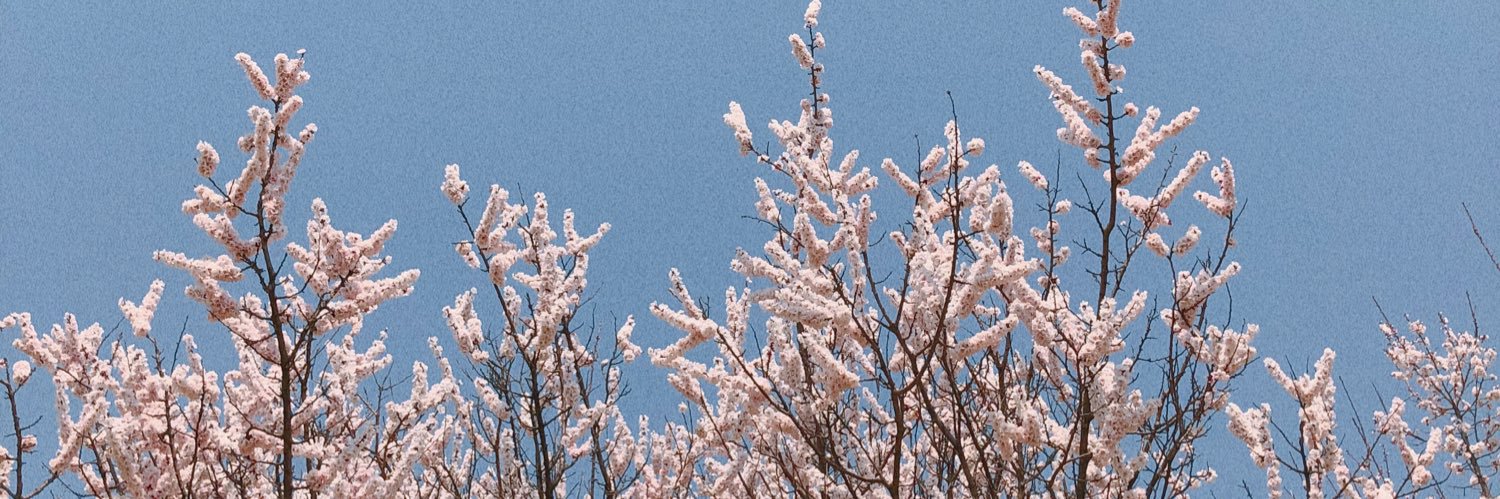 joonriaa's profile banner image