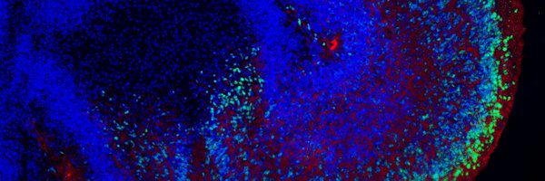 cwkcalvin Profile Banner