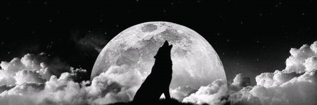 FredoSwav's profile banner image