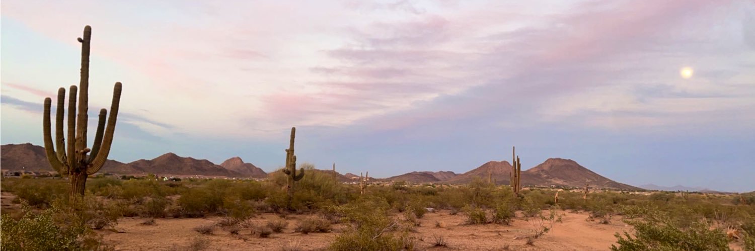 adrienne visintine banner