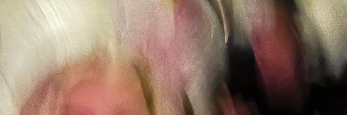 Lyndell Chase banner