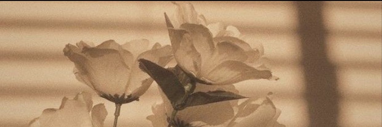 _chloerice's profile banner image