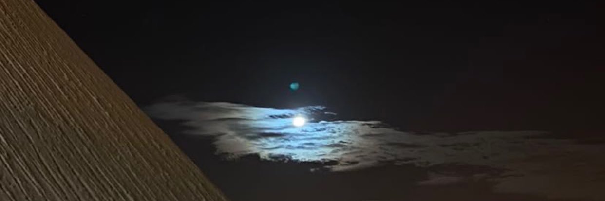 ltkj_1's profile banner image