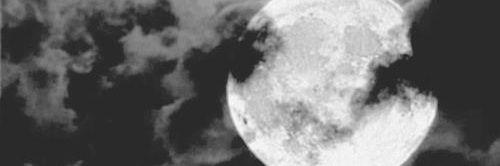 AlexisRenRPGTW's profile banner image