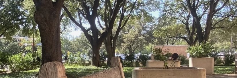 briannxb's profile banner image