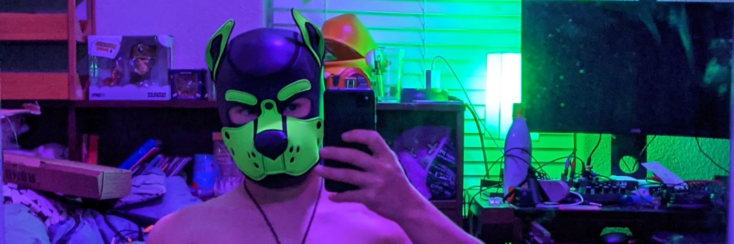 StrayPupSphax's profile banner image