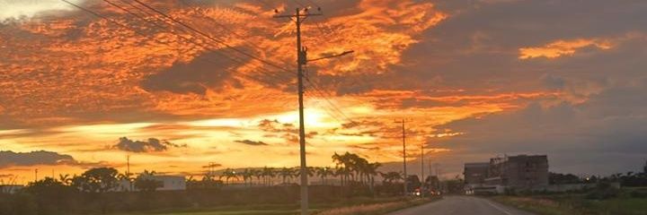 barrigario's profile banner image