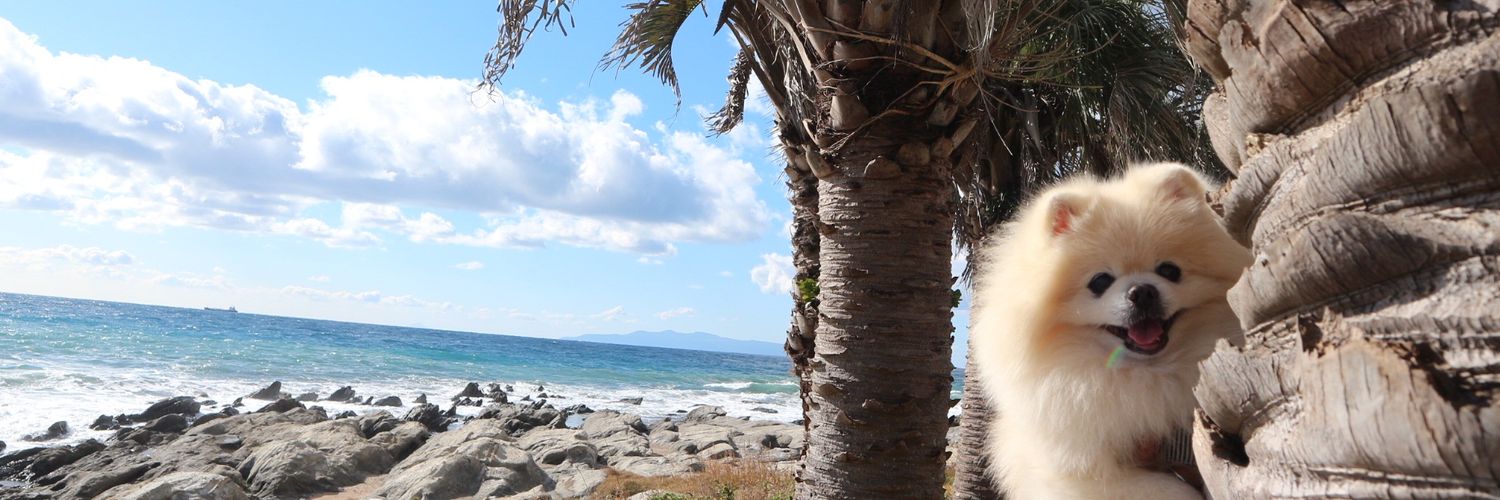 ロコ❤モア banner