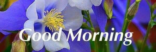 vvrameshkumar's profile banner image