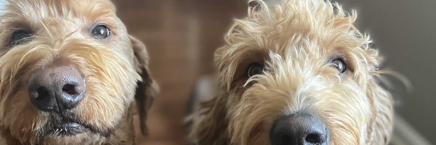 jdeigs77's profile banner image