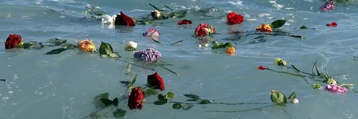 sarahhhh ×͜×🍒🦷 banner