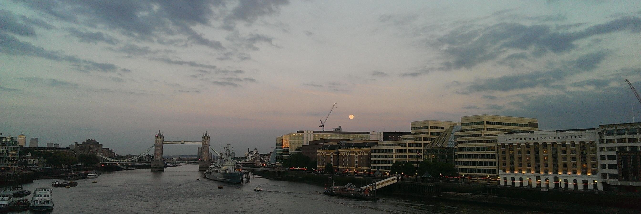 Dr.Susi Arnott banner