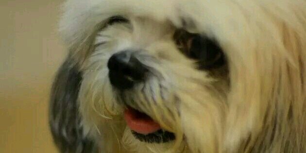yengardiente's profile banner image