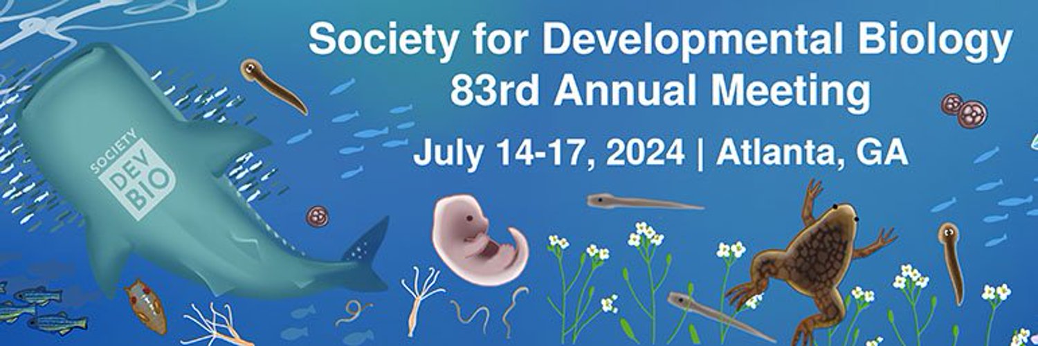 Society for Developmental Biology Profile Banner