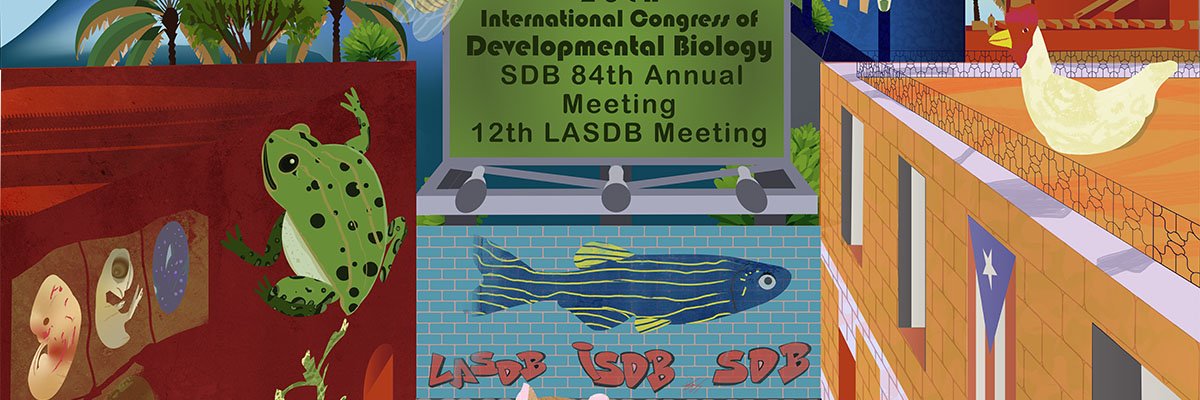 Society for Developmental Biology's banner