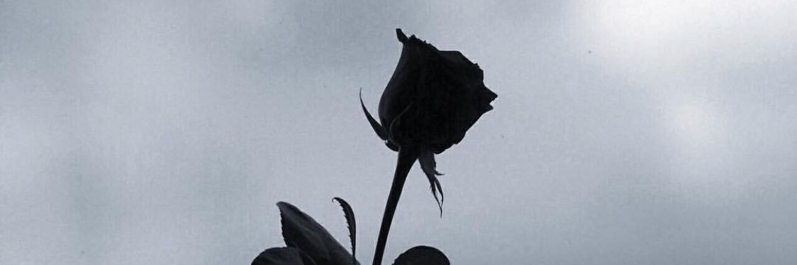 laleezyy's profile banner image