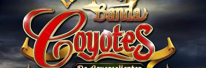 AngelCoyotes93's profile banner image