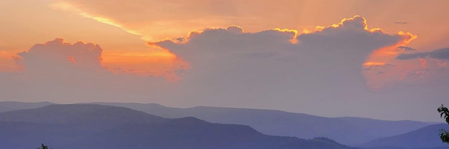 Bleusheen54's profile banner image