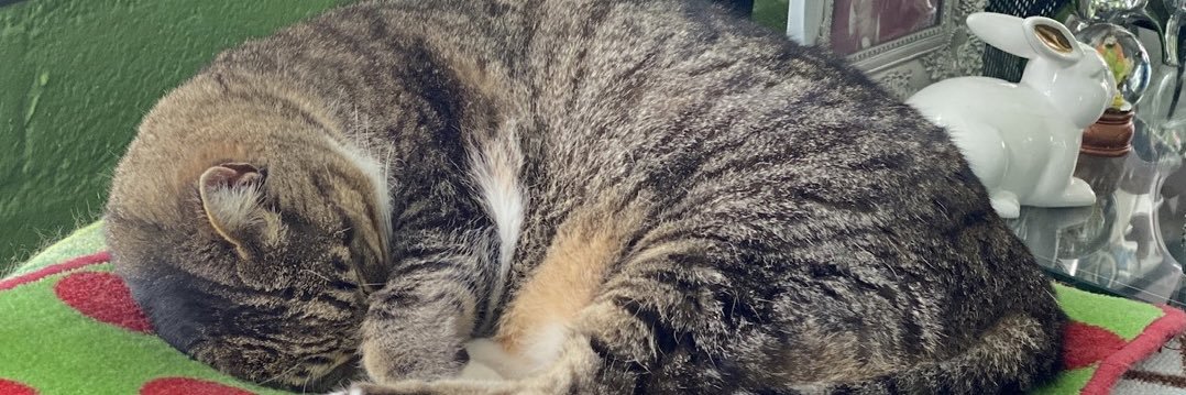 suzzy400's profile banner image