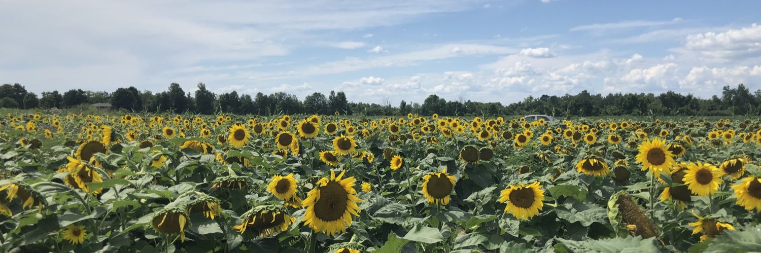 megfrank_'s profile banner image