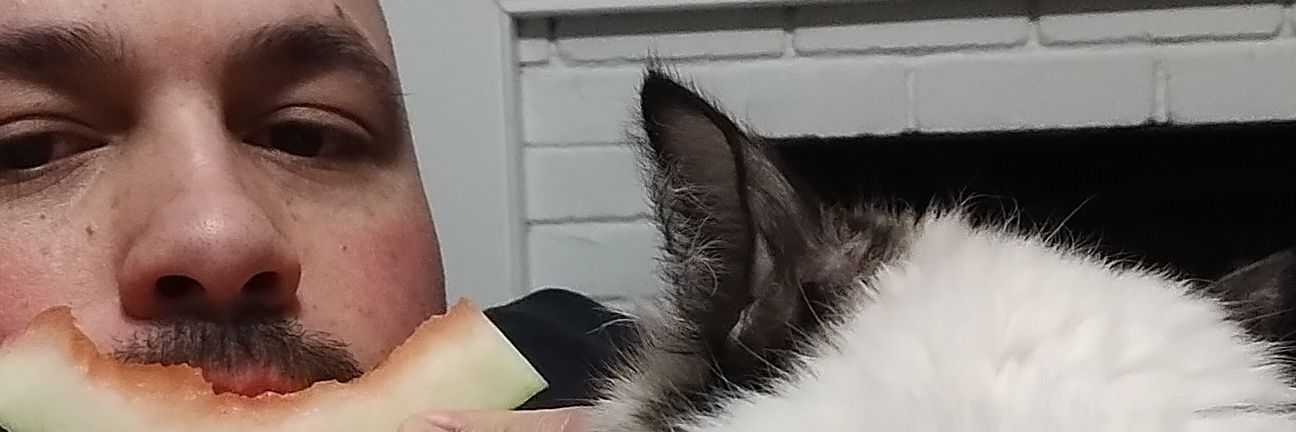 DaGameCollector's profile banner image