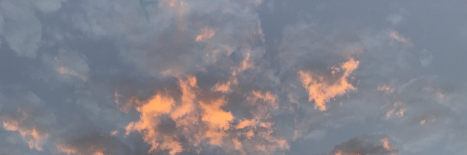 Lucylabmas's profile banner image