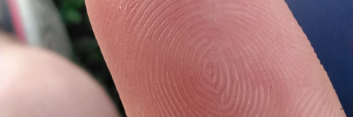 IsmaSchmidt's profile banner image