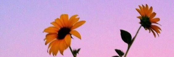 empty_gem's profile banner image