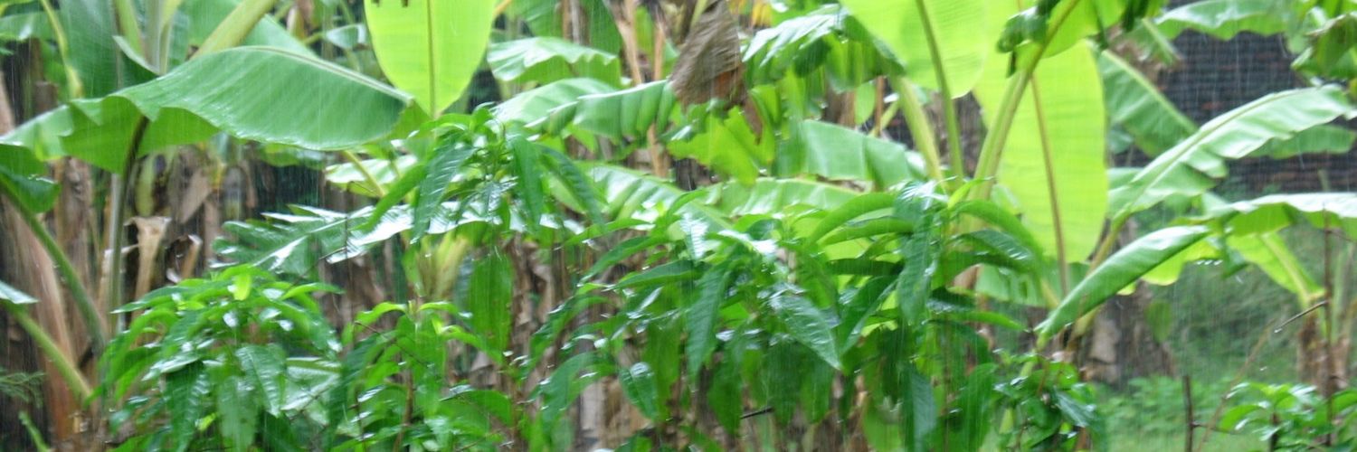 sri_am's profile banner image